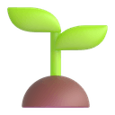 seedling